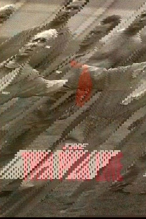 Постер The Thin Pink Line